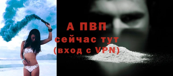 спайс Беломорск