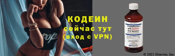 прущие грибы Балабаново