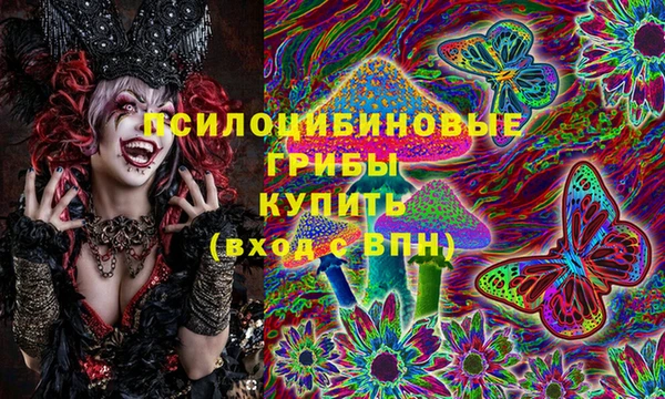 спайс Беломорск